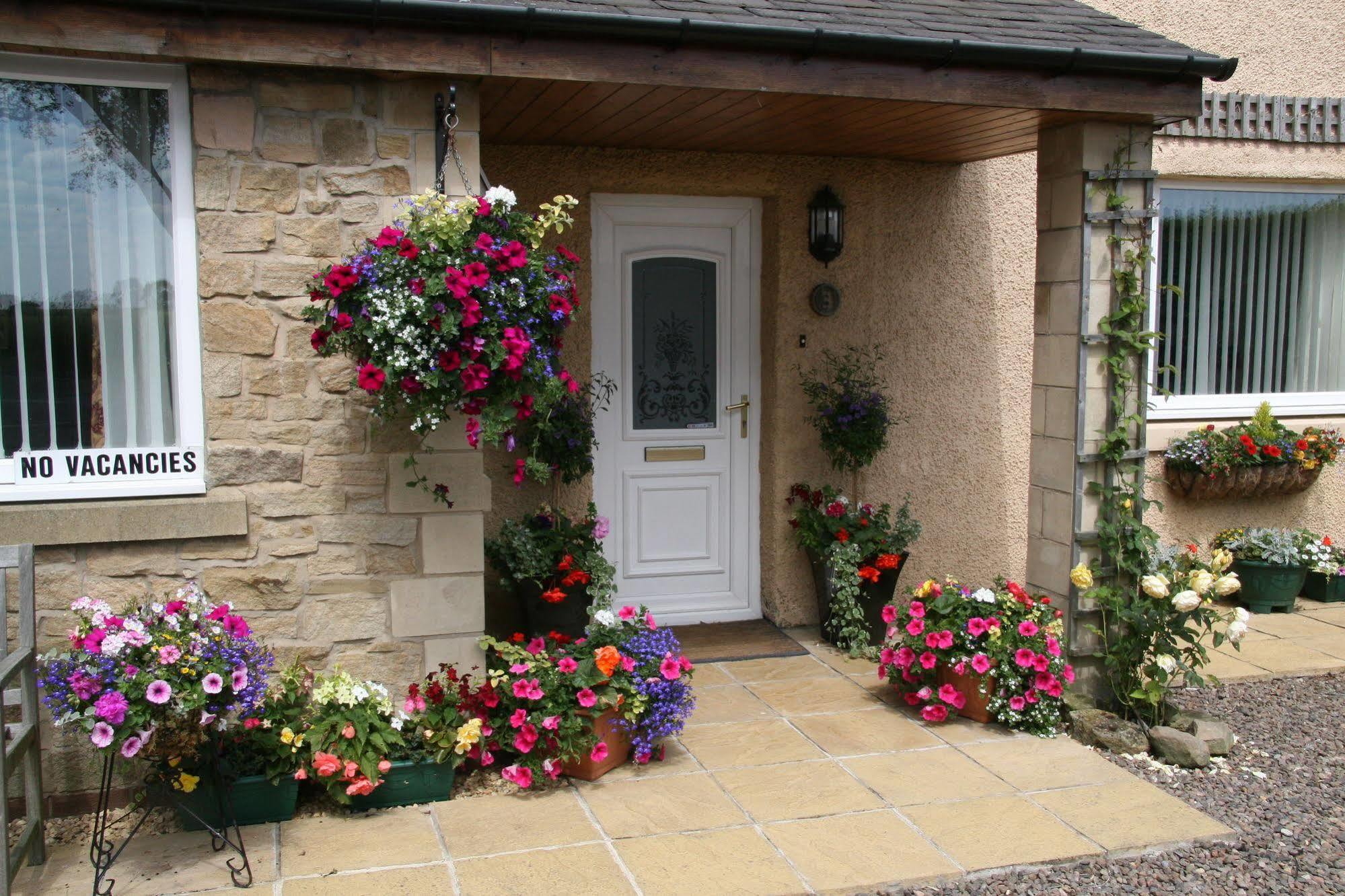 Northumberland Cottage B&BAcklington エクステリア 写真